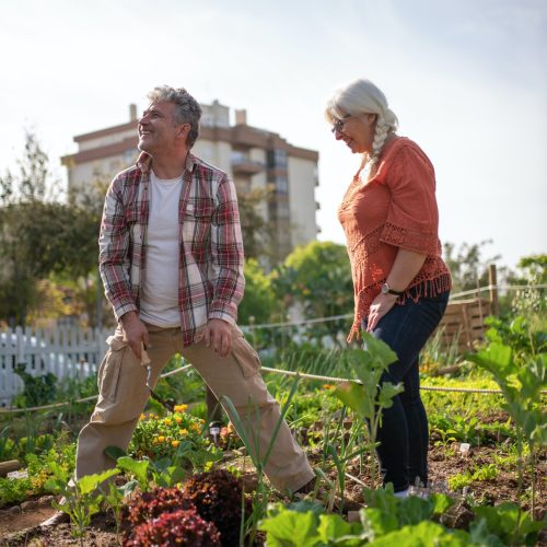 pexels-kampus-production-7658783