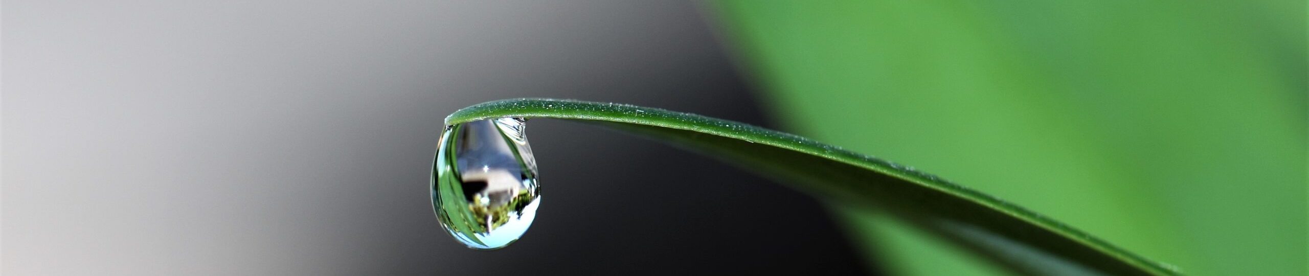 pexels-pixabay-432786